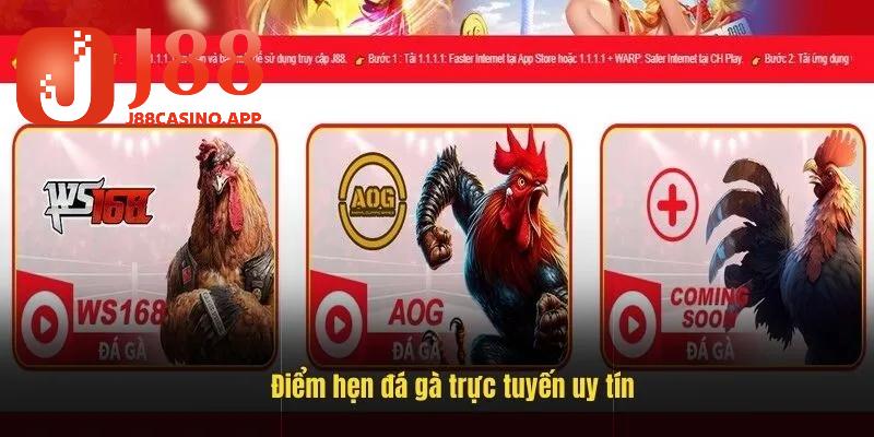 Top các NPH thi đấu chiến kê nổi bật tại J88