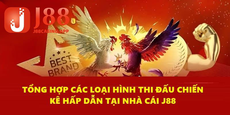 Những thể loại thi đấu hấp dẫn