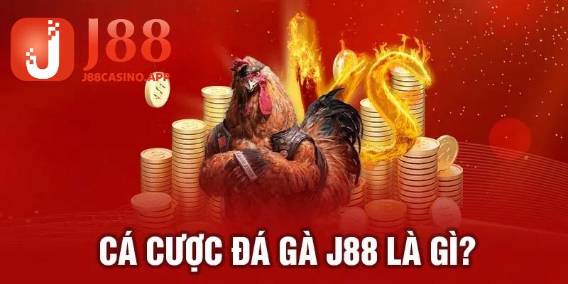 Đôi nét về đá gà J88