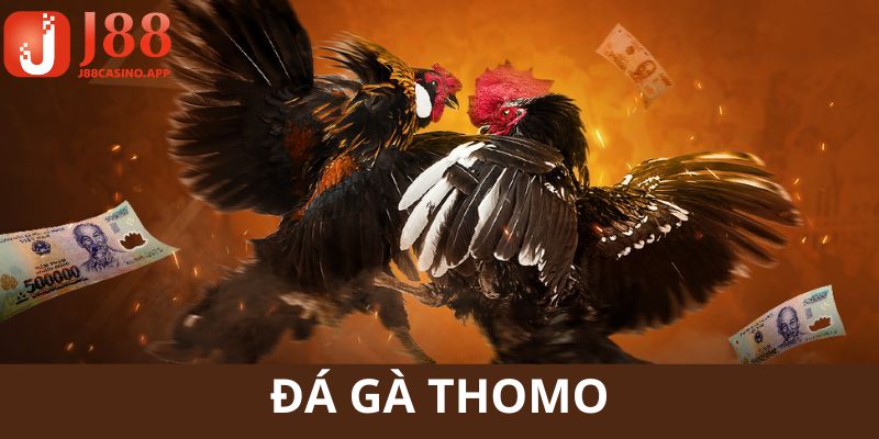 đá gà thomo