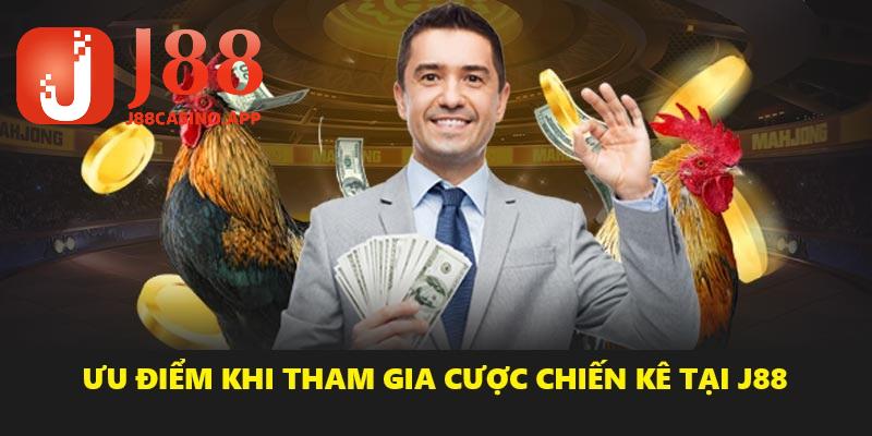 Những ưu điểm nổi bật khi tham gia đá gà J88