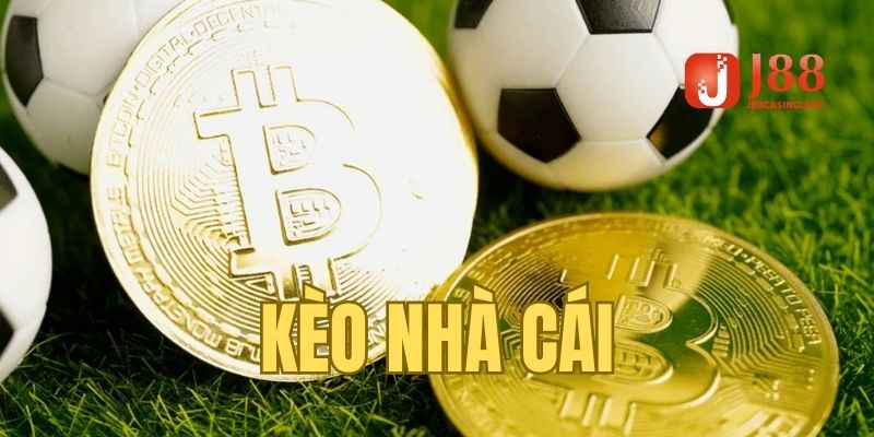 Kèo Nhà Cái - Kiến Thức Chi Tiết Từ A-Z Cho Tay Mơ