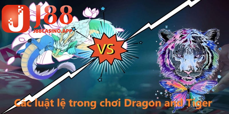 Các luật lệ trong chơi Dragon and Tiger trong nền tảng J88