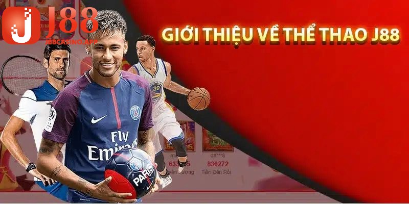 Giới thiệu tổng quan về sảnh thể thao tại J88