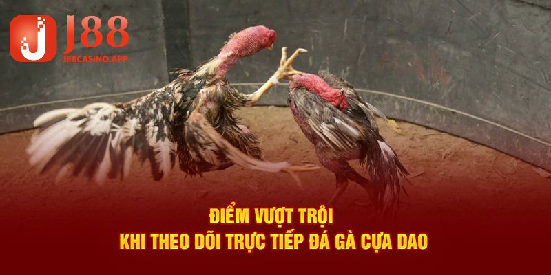 Ưu điểm khi theo dõi cá cược tại sân chơi trực tuyến J88
